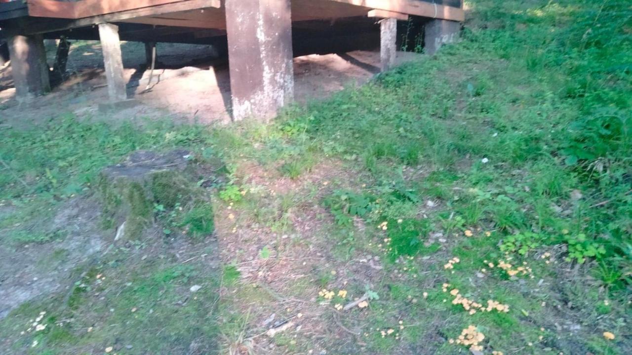 Holiday home Oleandria Z Kominkiem Biskupiec (Olsztyn)
