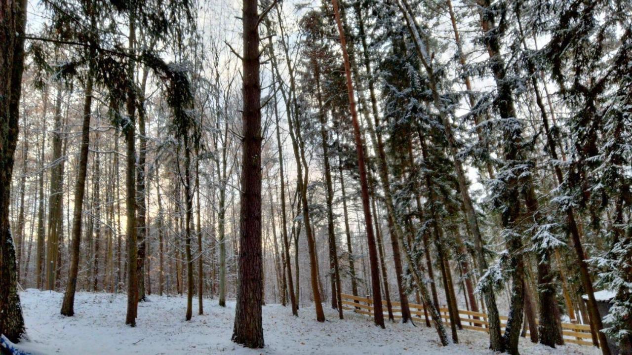 Oleandria Z Kominkiem Biskupiec (Olsztyn)