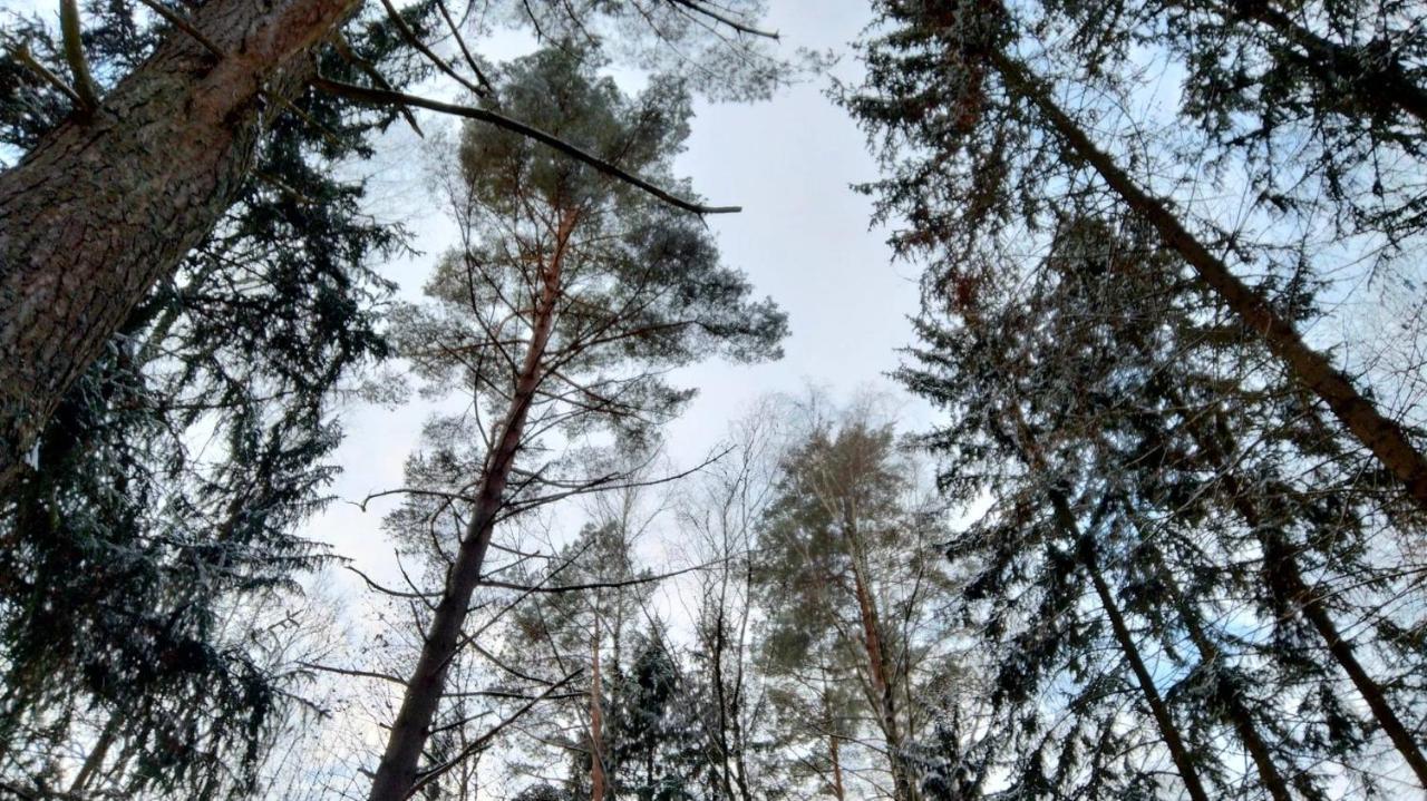 Ferienhaus Oleandria Z Kominkiem *
