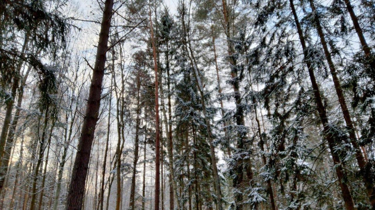 Ferienhaus Oleandria Z Kominkiem Biskupiec (Olsztyn)