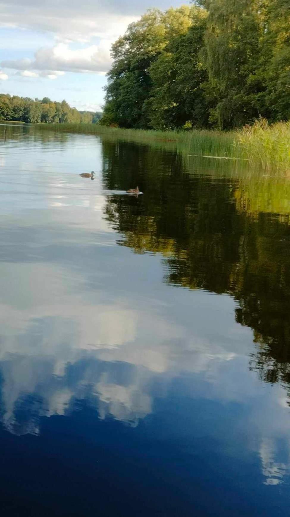 Oleandria Z Kominkiem Biskupiec (Olsztyn)